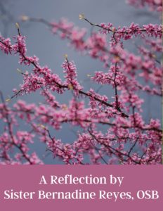 Sr. Bernadine March 2023 Reflection Graphic