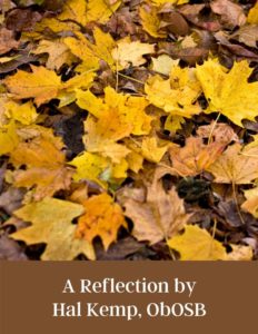 Hal Kemp Reflection Graphic